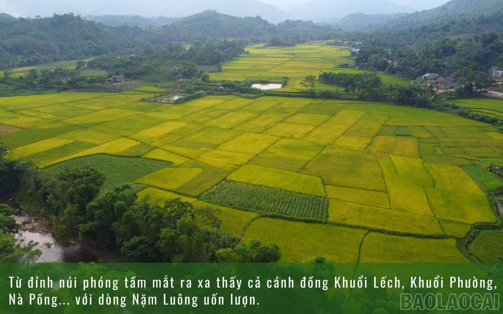 baolaocai_namluong.jpg