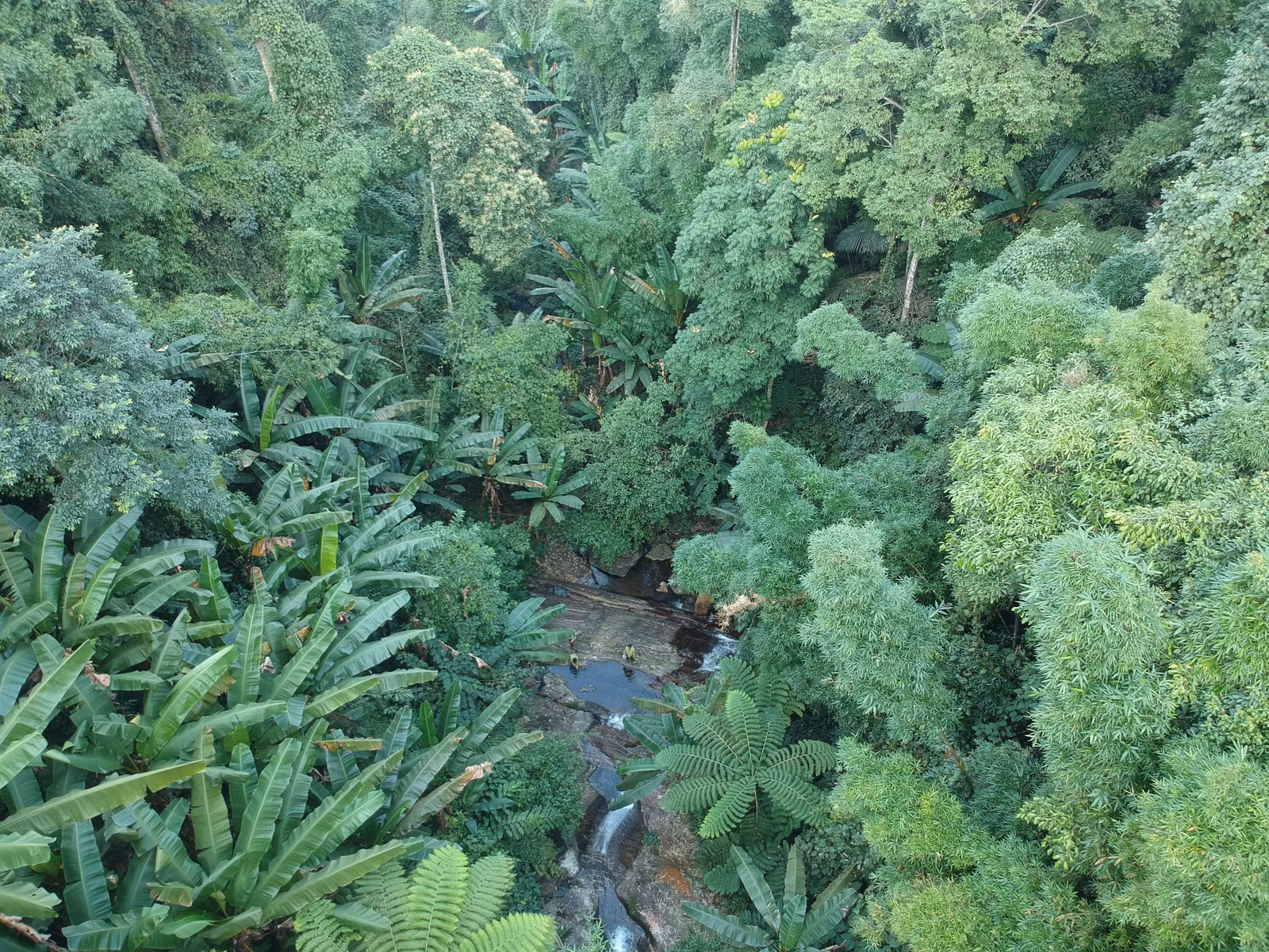 DJI_2716.JPG