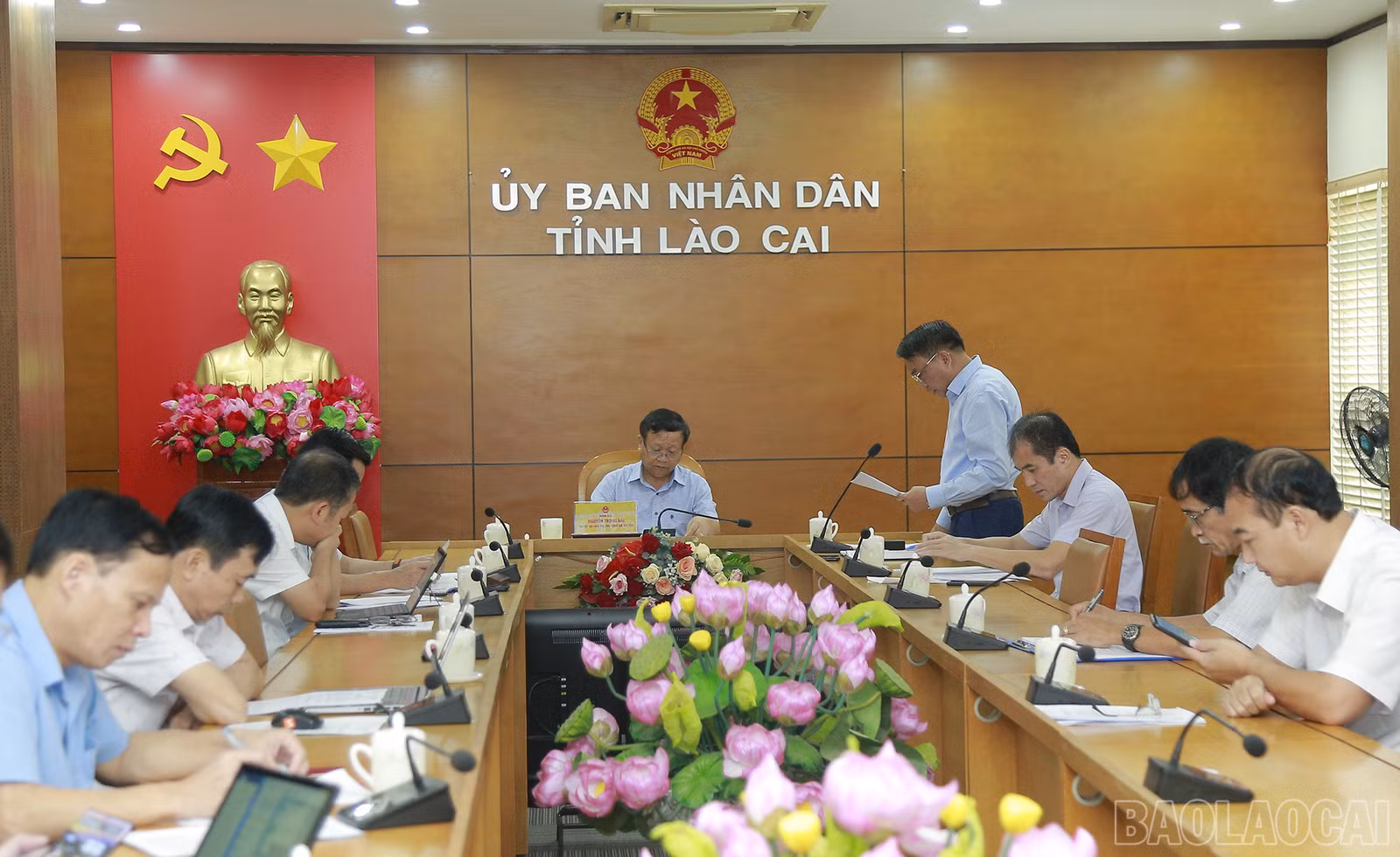 baolaocai_td (1).JPG