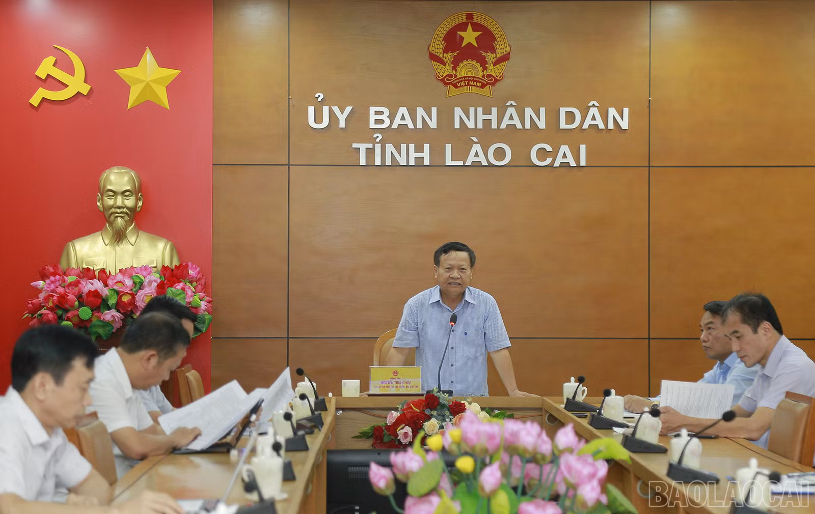 baolaocai_td (3).JPG
