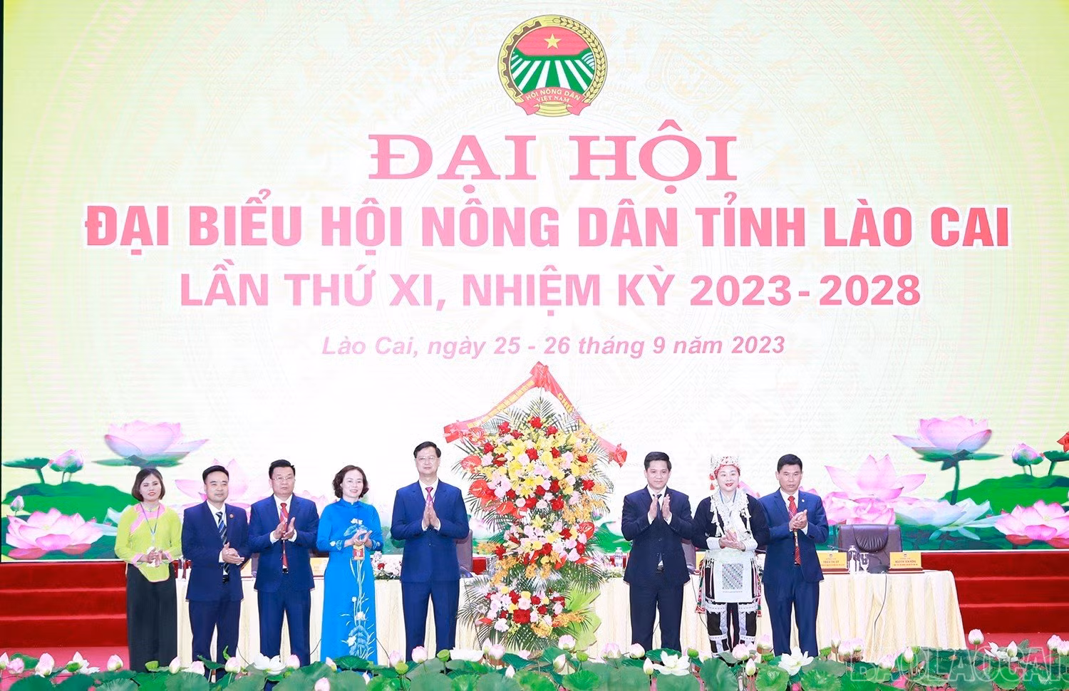 baolaocai_hndtlc (10).jpg