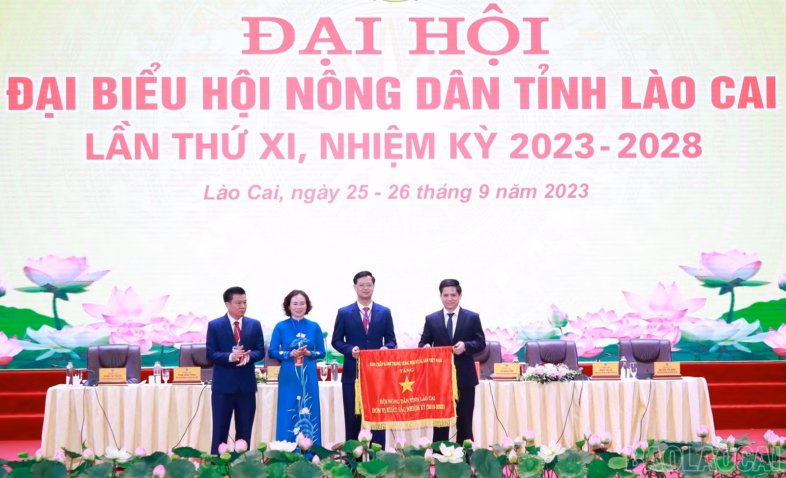 baolaocai_hndtlc (4).jpg