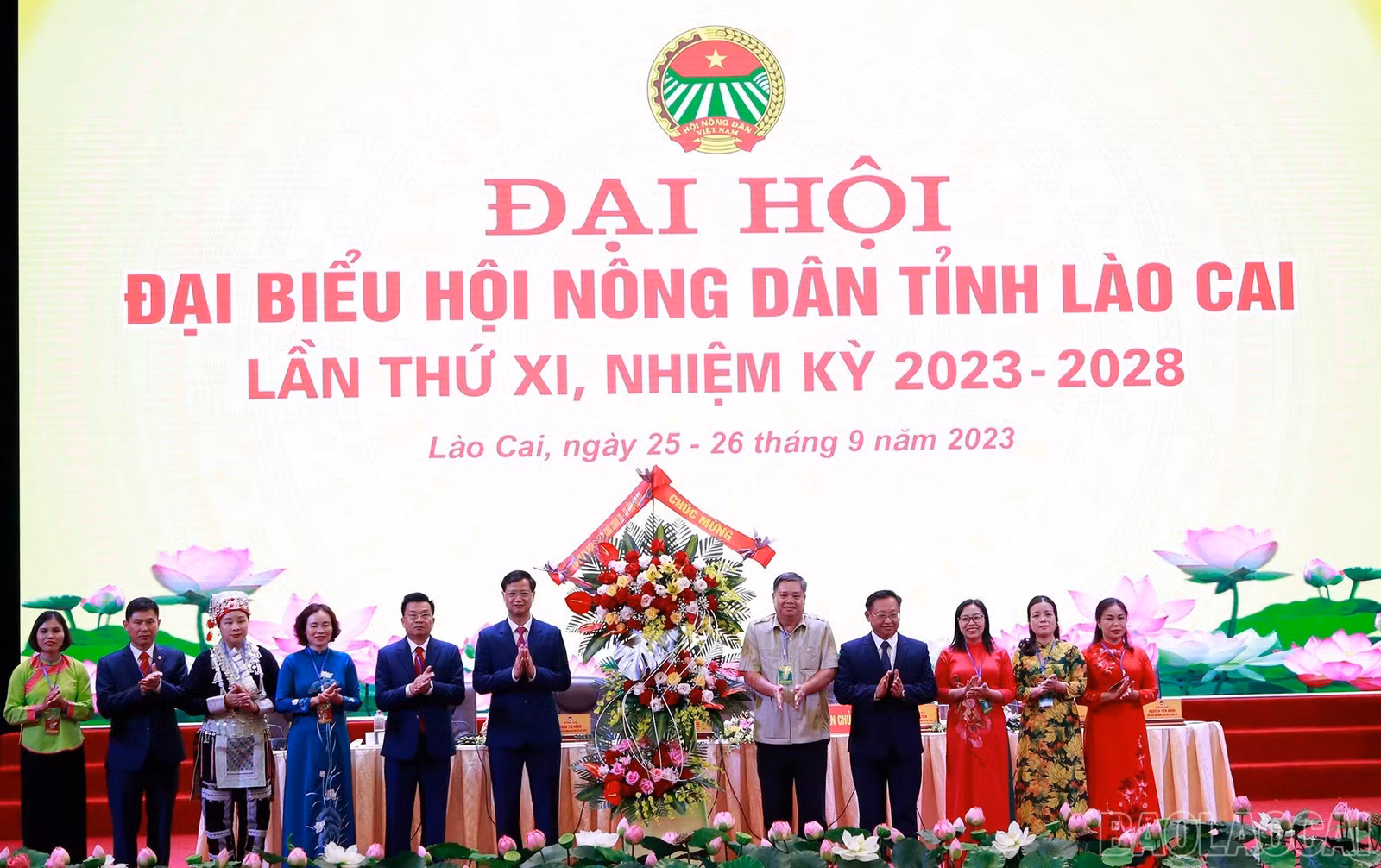 baolaocai_hndtlc (14).jpg