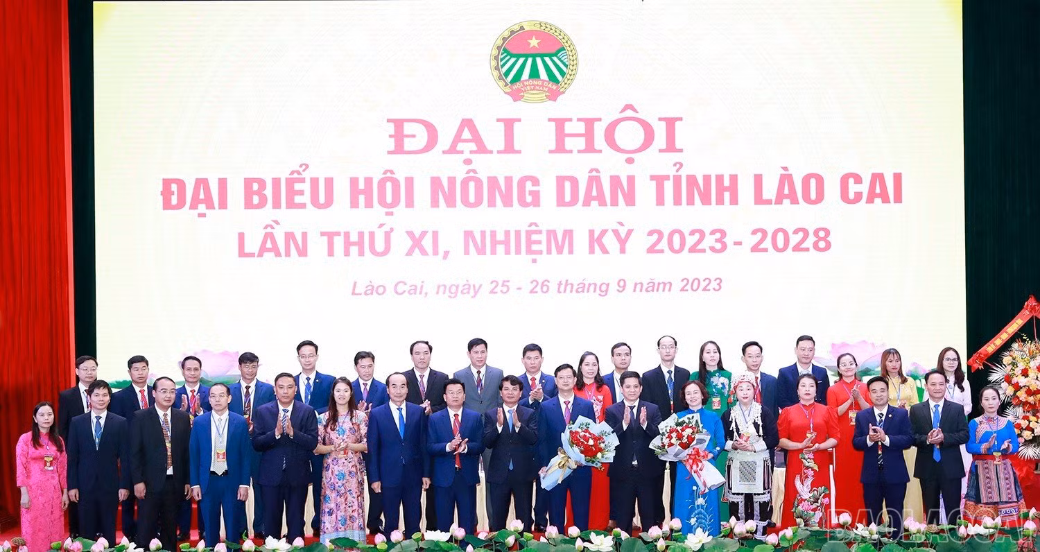 baolaocai_hndtlc (16).jpg