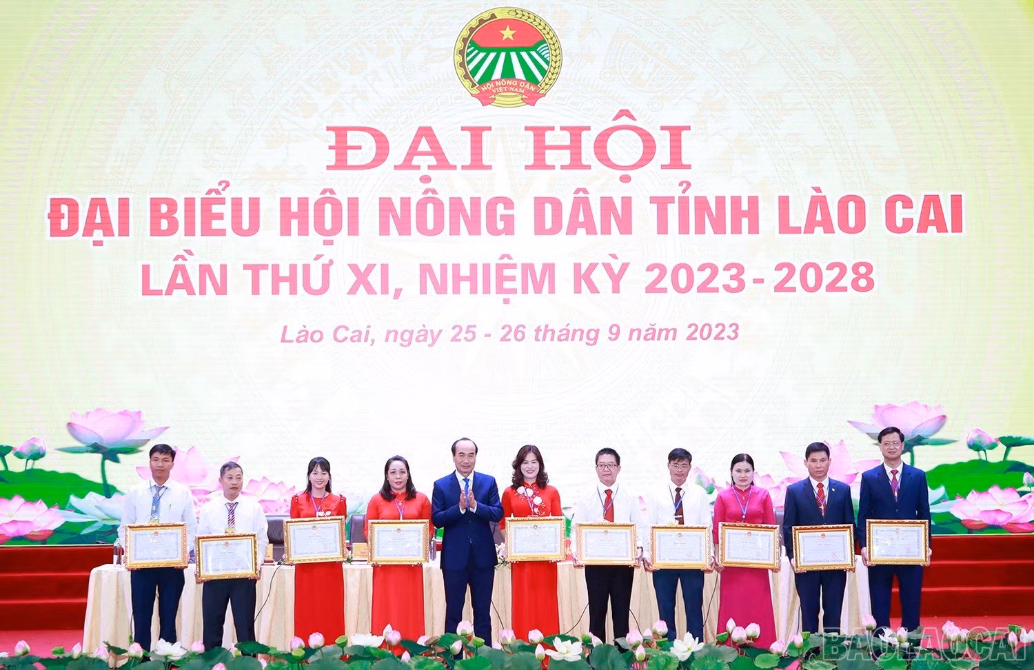baolaocai_hndtlc (5).jpg