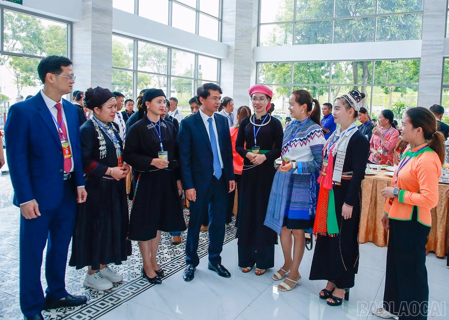 baolaocai_hndtlc (1).jpg