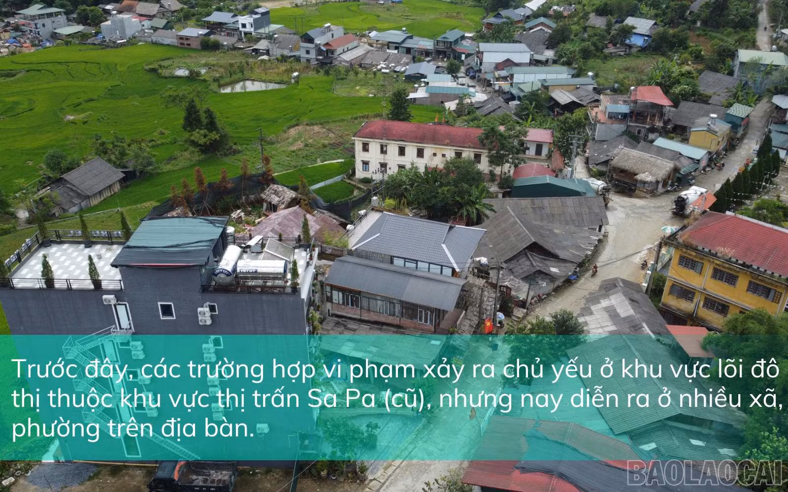 baolaocai_sapa (2).jpg