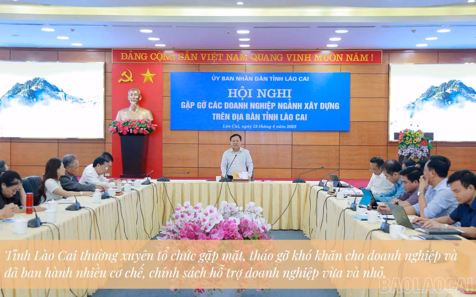 baolaocai_vvn (5).jpg