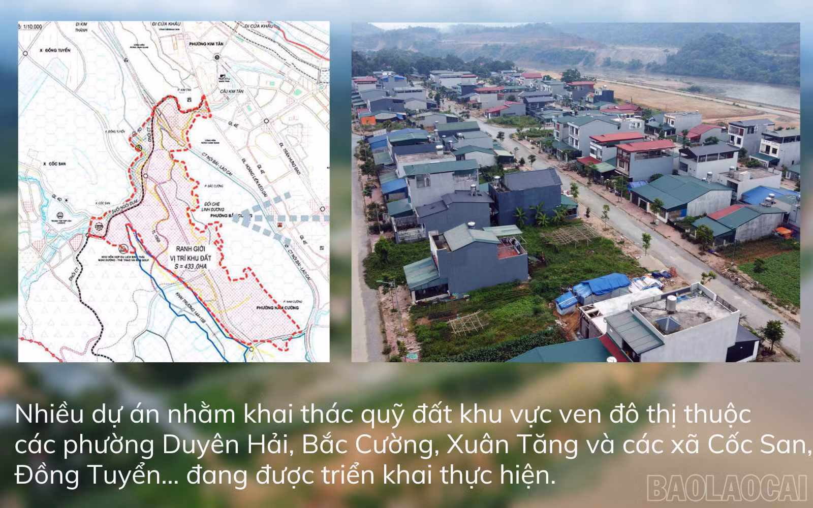 baolaocai_vd (4).jpg