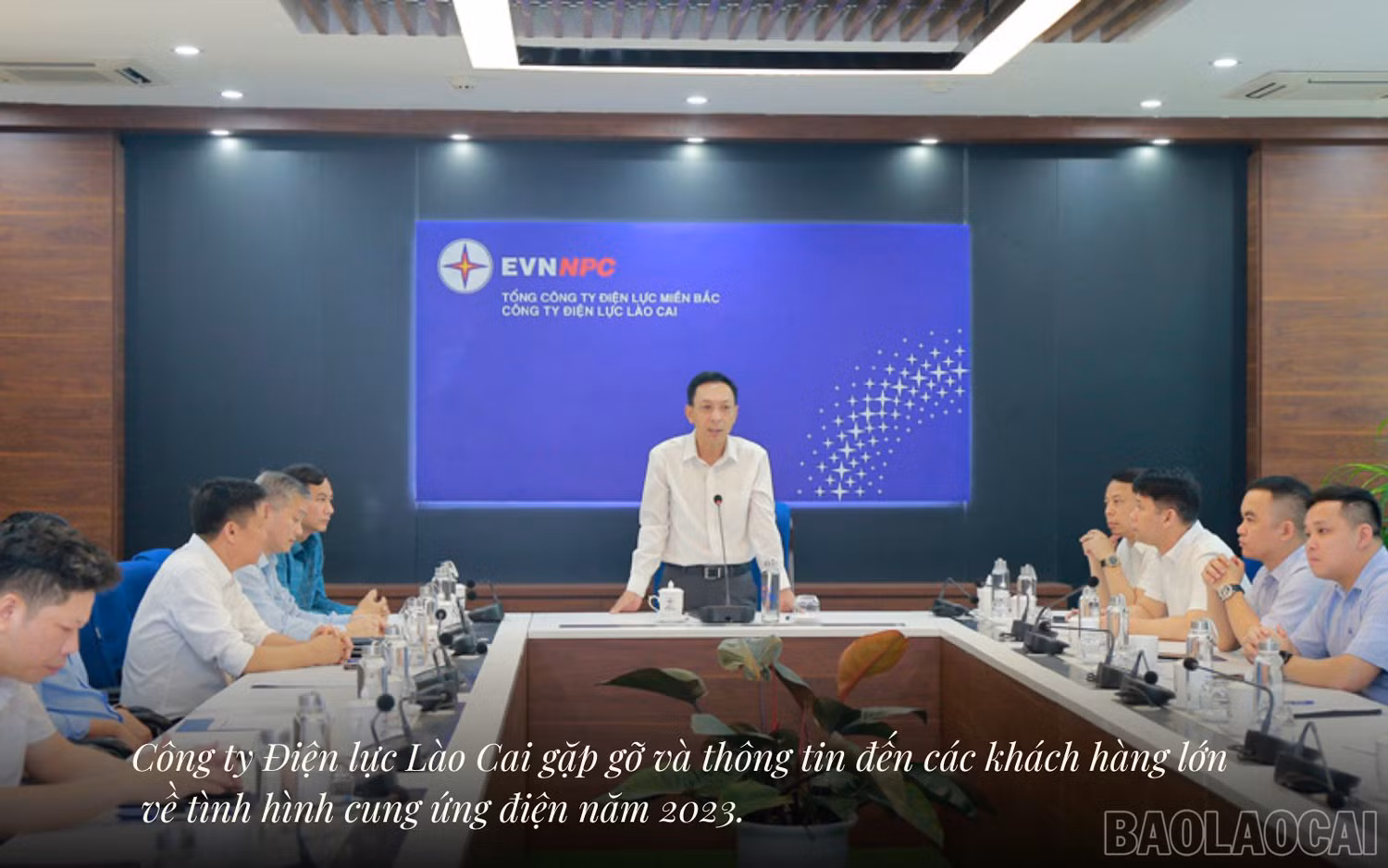 baolaocai_dl (2).jpg