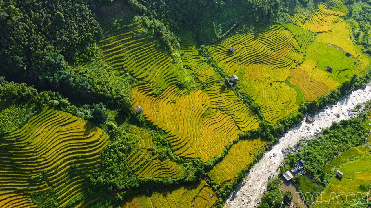 baolaocai_namcang (10).jpg