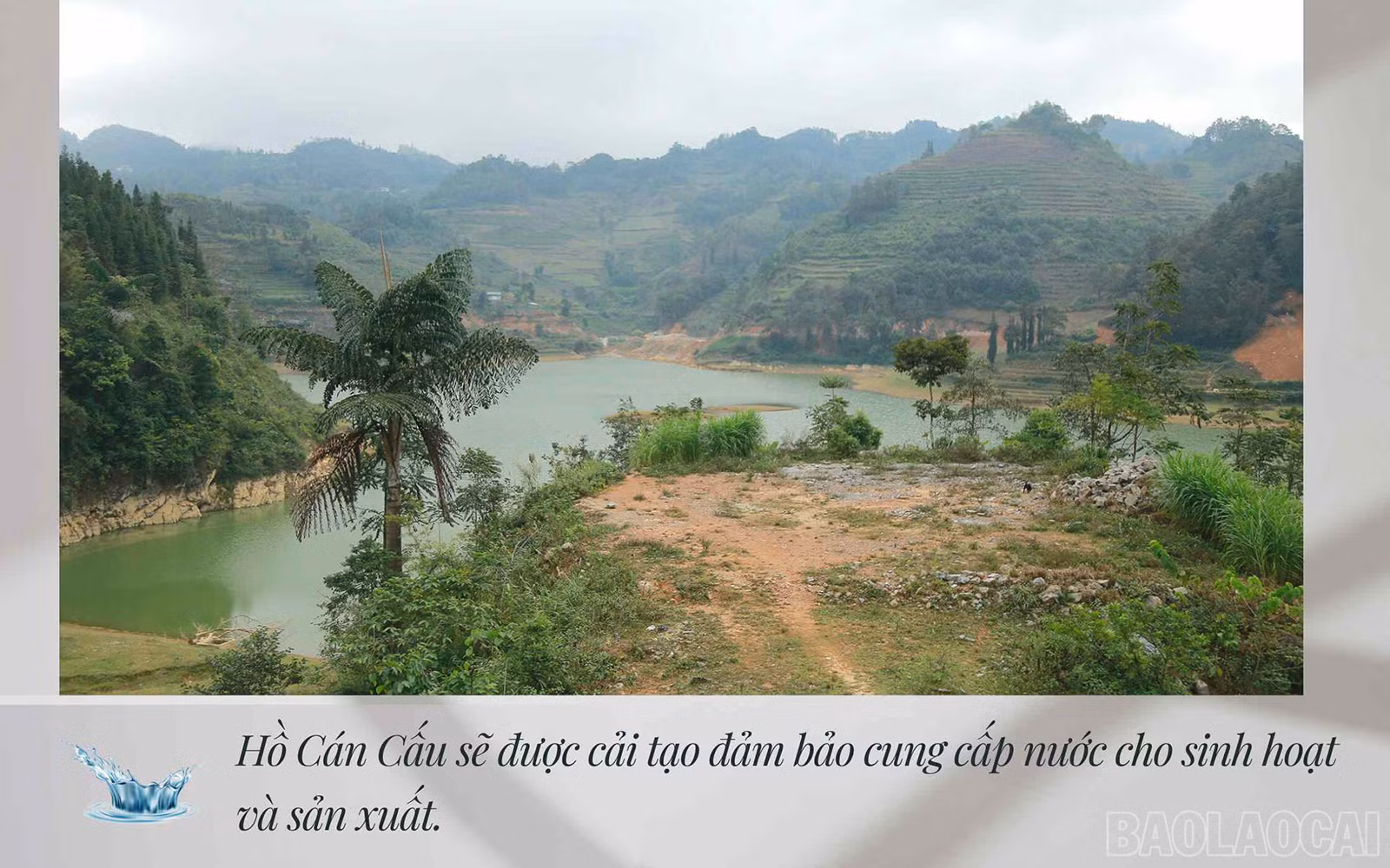 baolaocai-hocancau-3510.jpg
