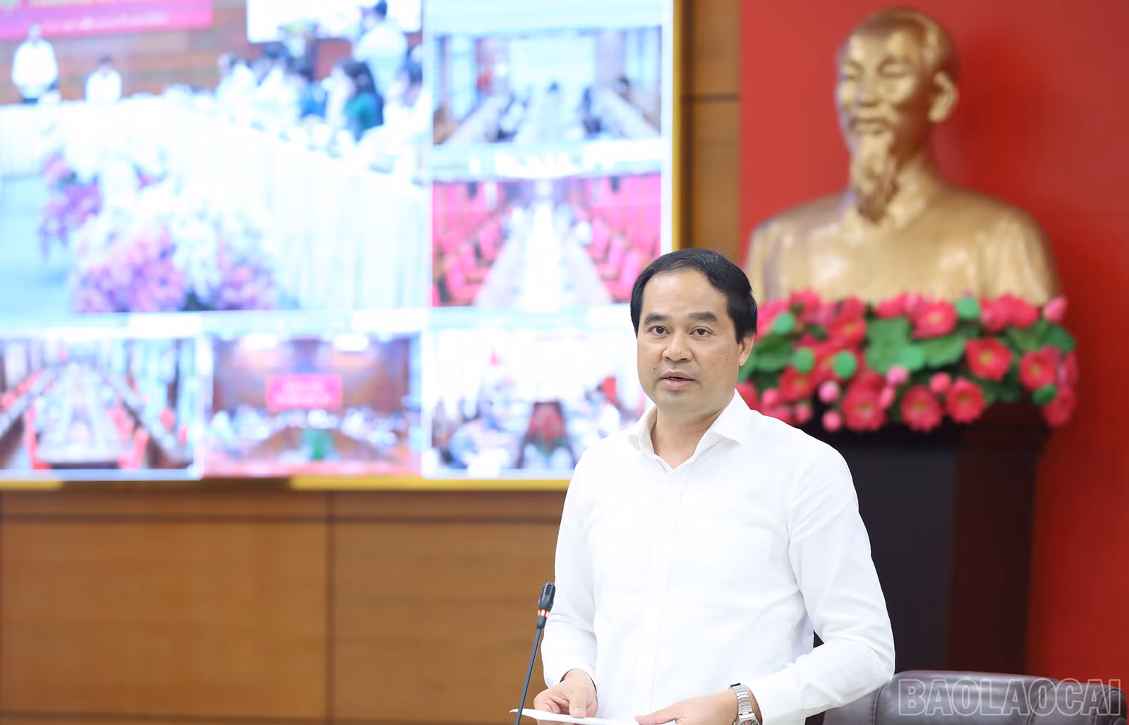 baolaocai_tk (2).JPG