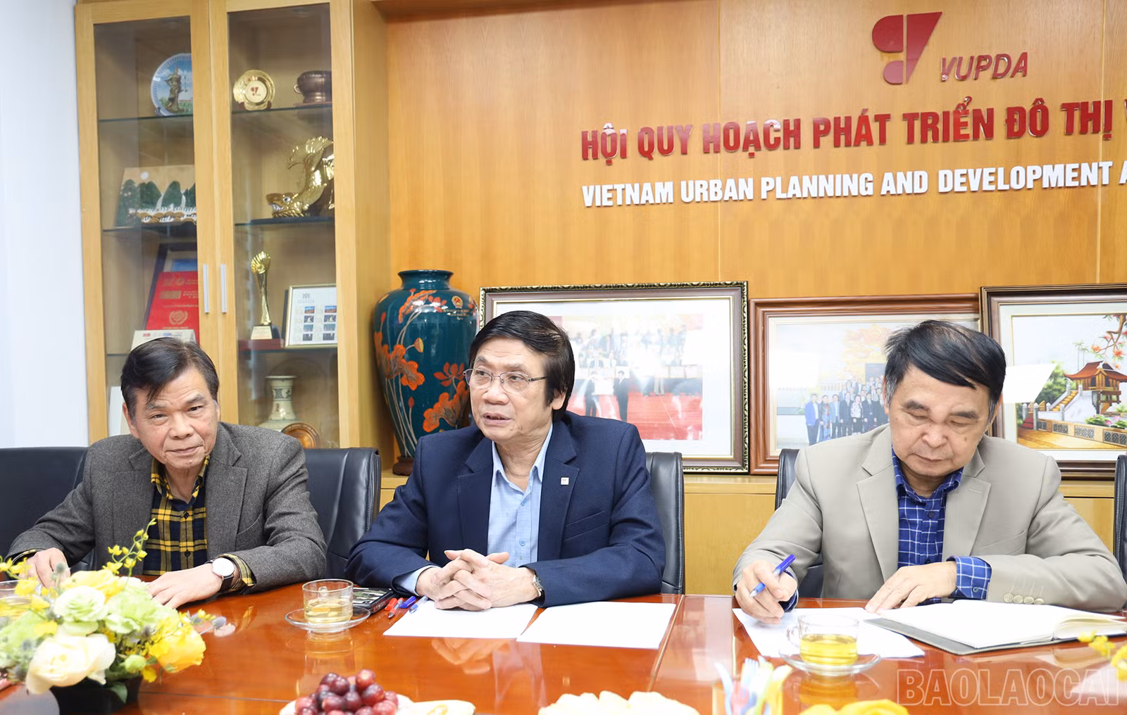 baolaocai_qh (3).JPG
