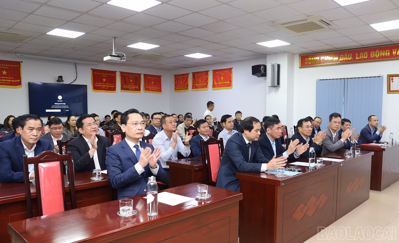 baolaocai_cb (1).JPG
