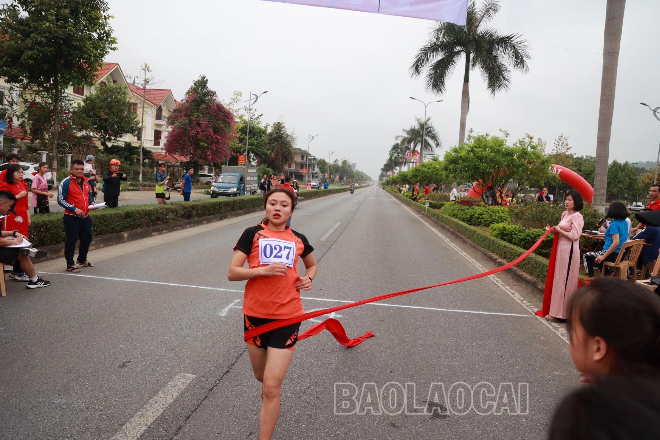 z5256923252476_26f2e0e16a09298f7a937bd6f504243c.jpg
