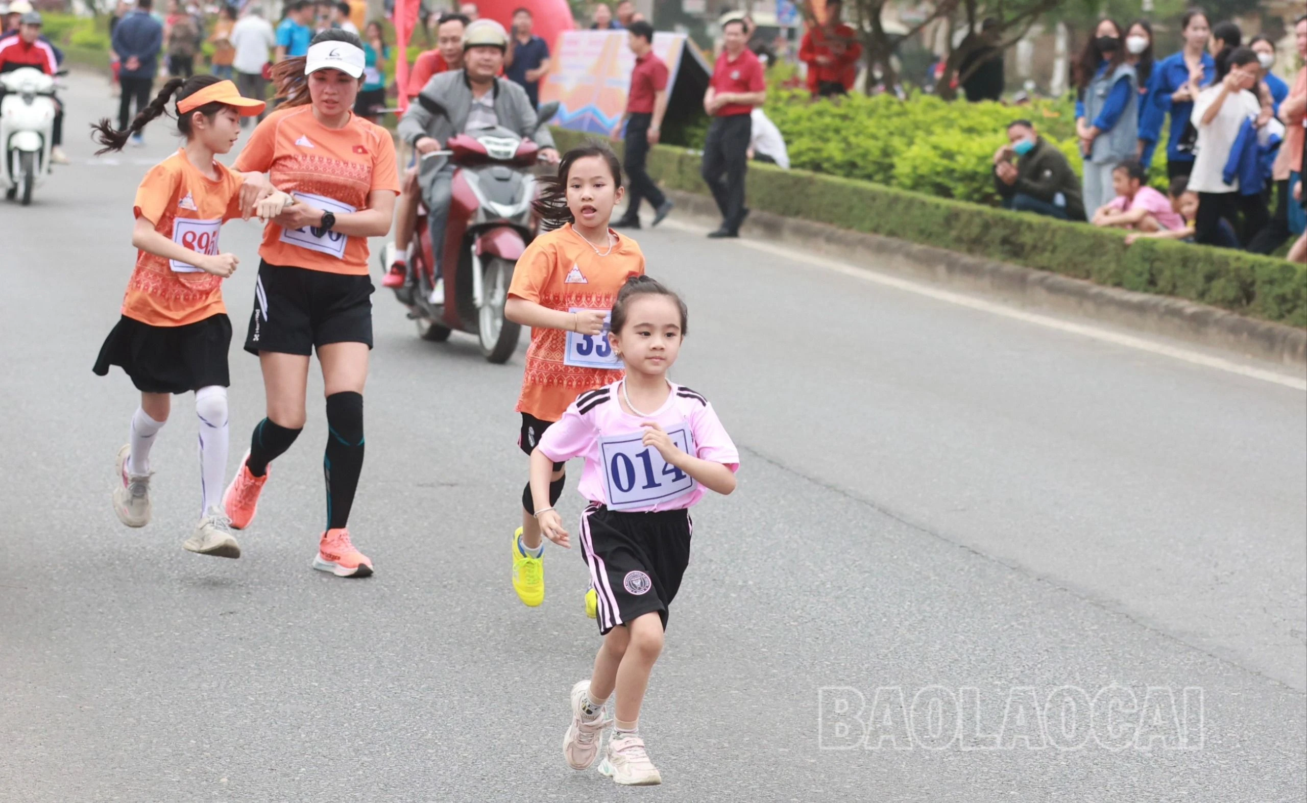 z5256886826390_dc83a0501fbc34d181d851ded778e0ba.jpg