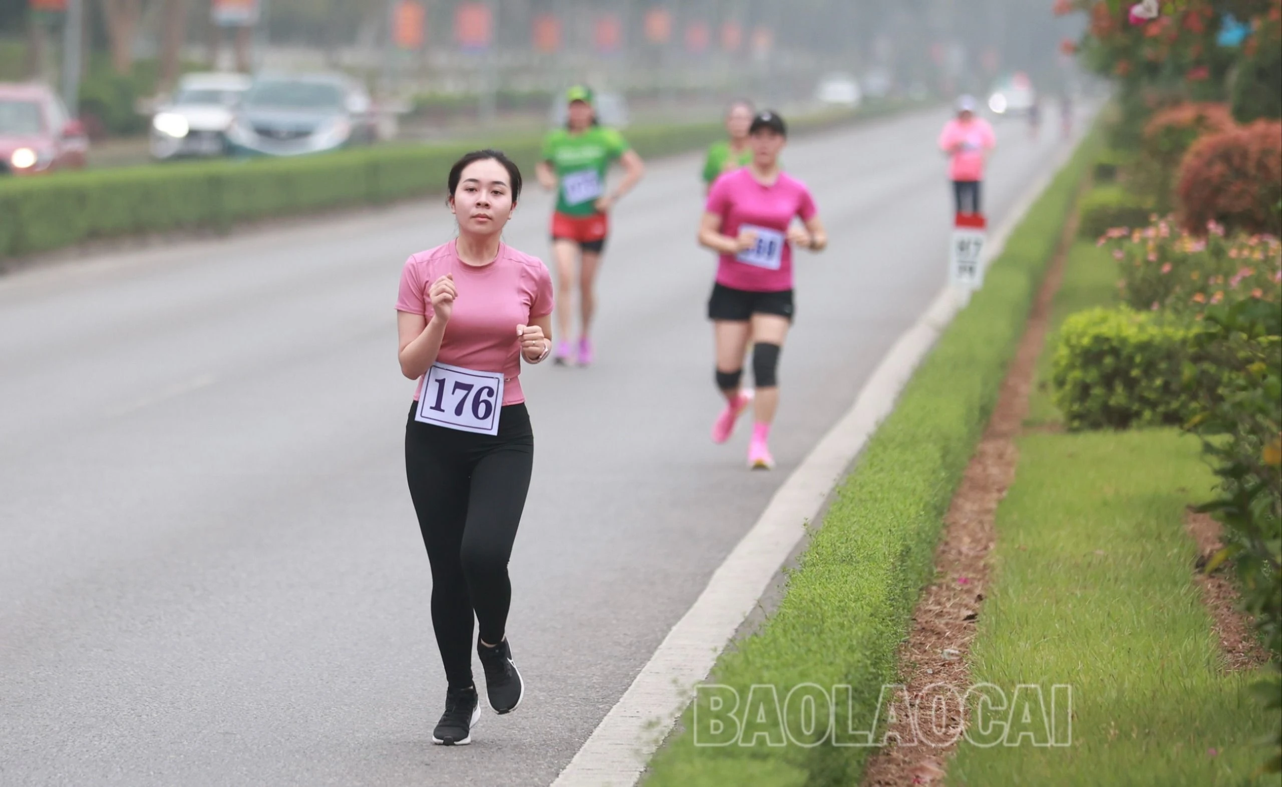 z5256886820833_fdcad23261ec0e13d3eaa819e2a1ce04.jpg