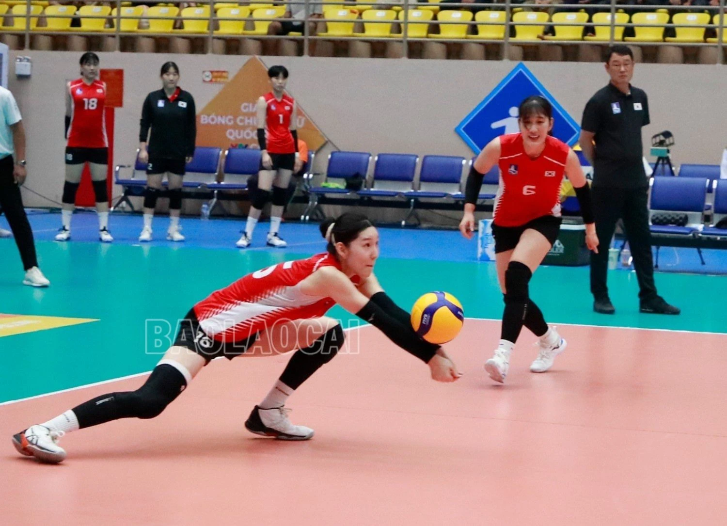 z4629346396003_50f6feae2ca0388106b3a28fbf8d0daa.jpg