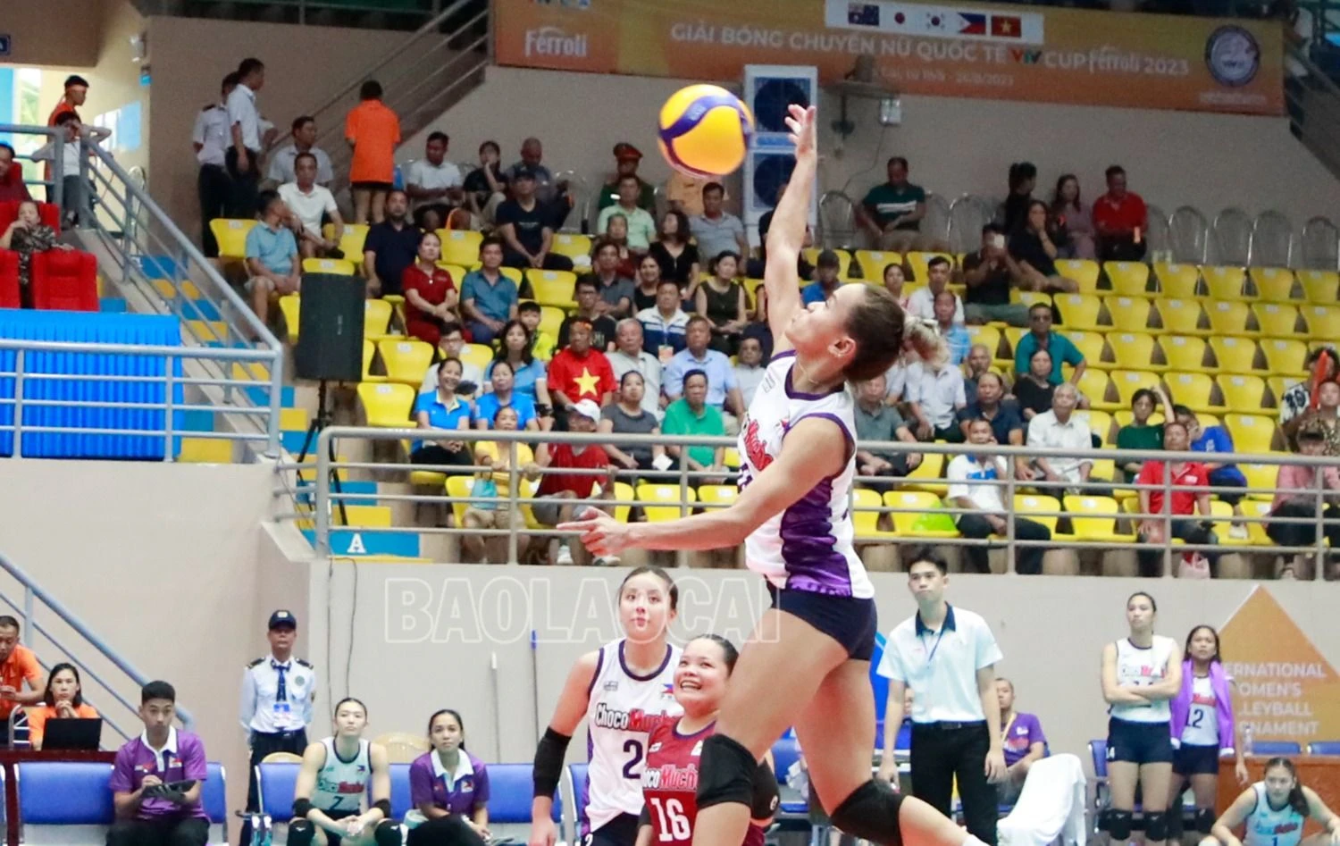 _MGM0052.jpg