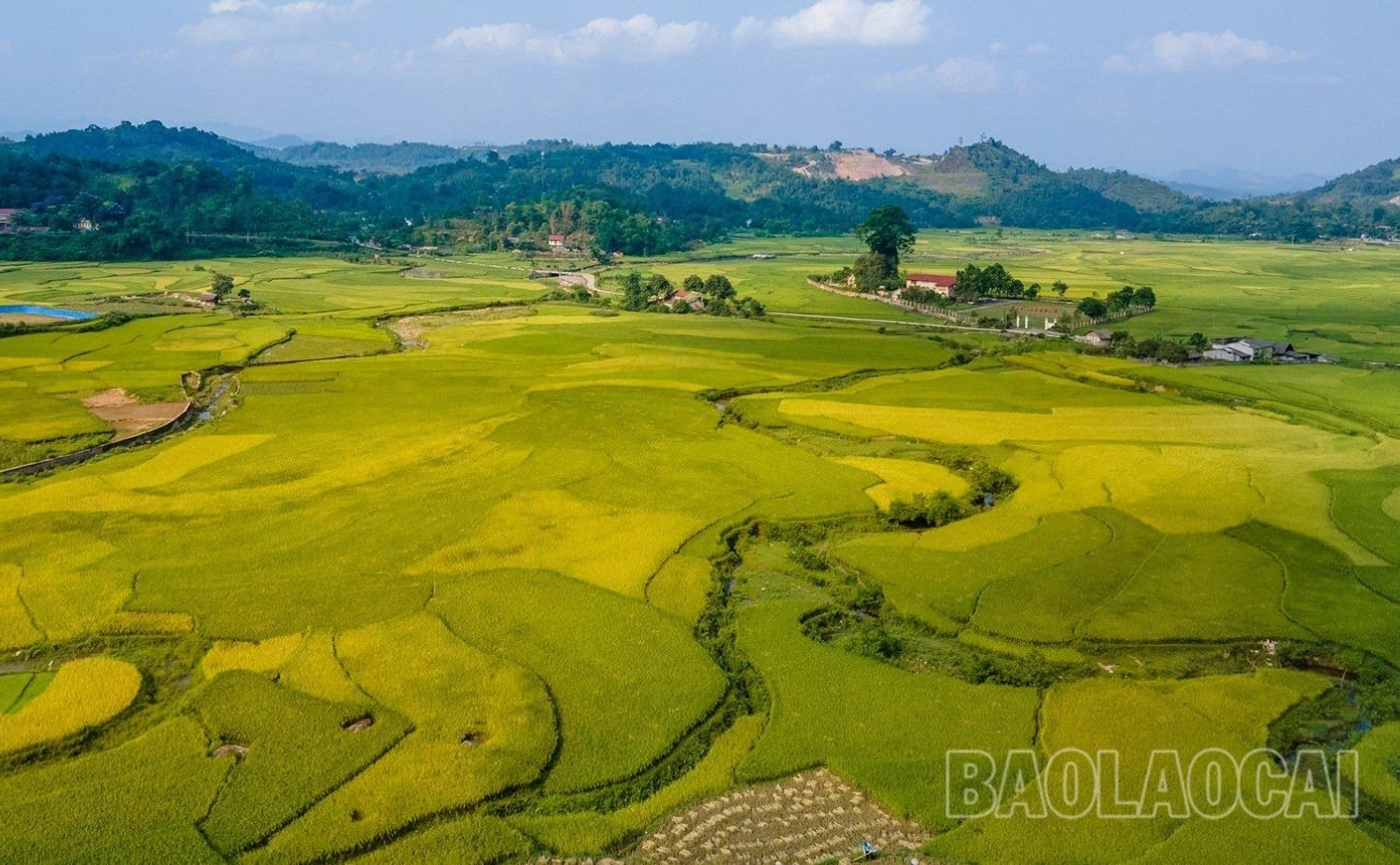 9b.jpg