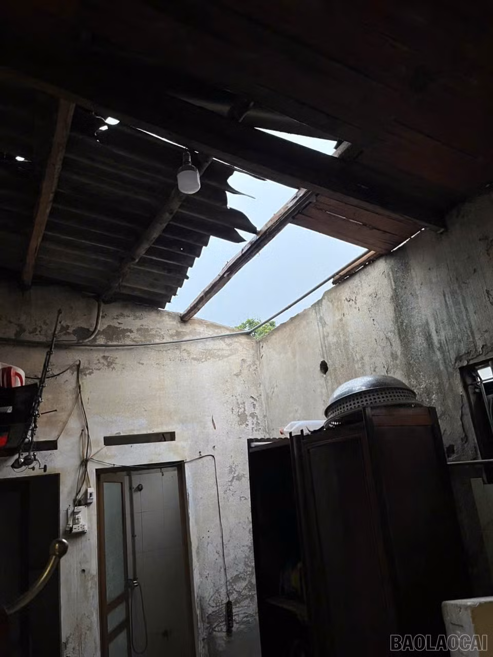 baolaocai-br_z7730123670559-77e274e85b6f88920730021197bd6a30.jpg