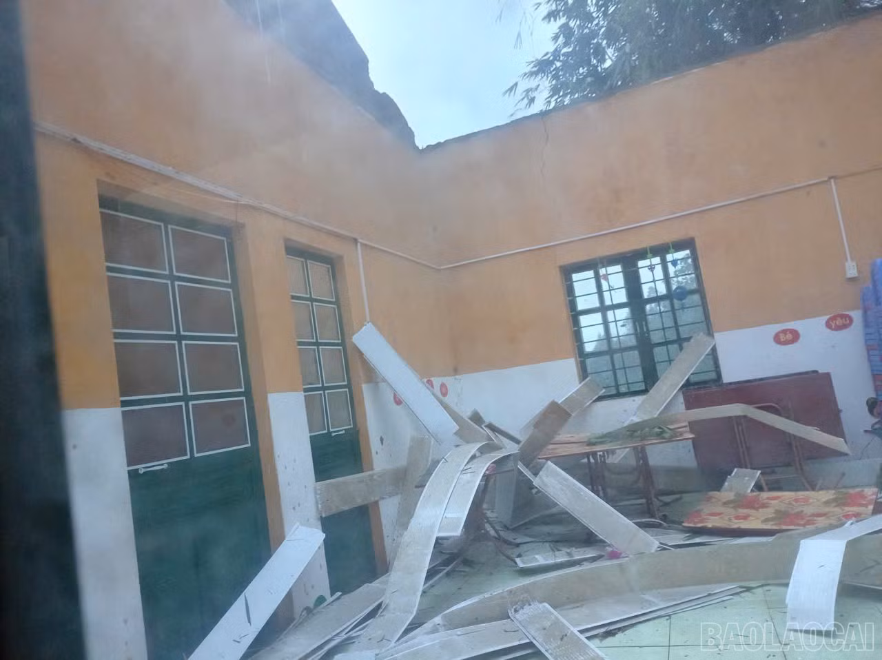 baolaocai-br_z7730120274429-624e4032d0f5e15bf6b7d636f2f7492e.jpg