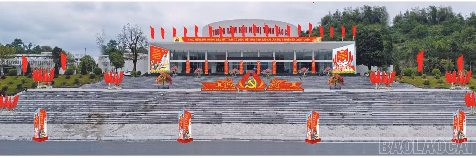 baolaocai-br_88-1730.jpg