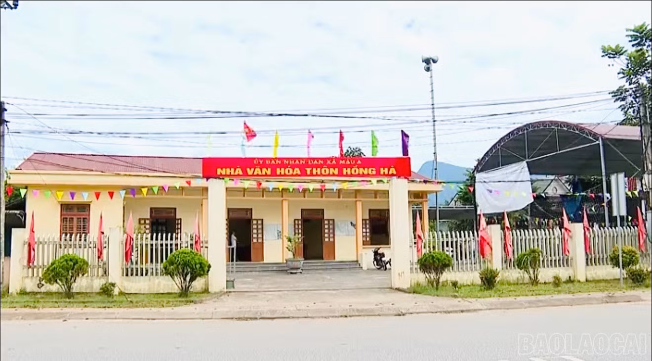 baolaocai-br_ma-3.jpg