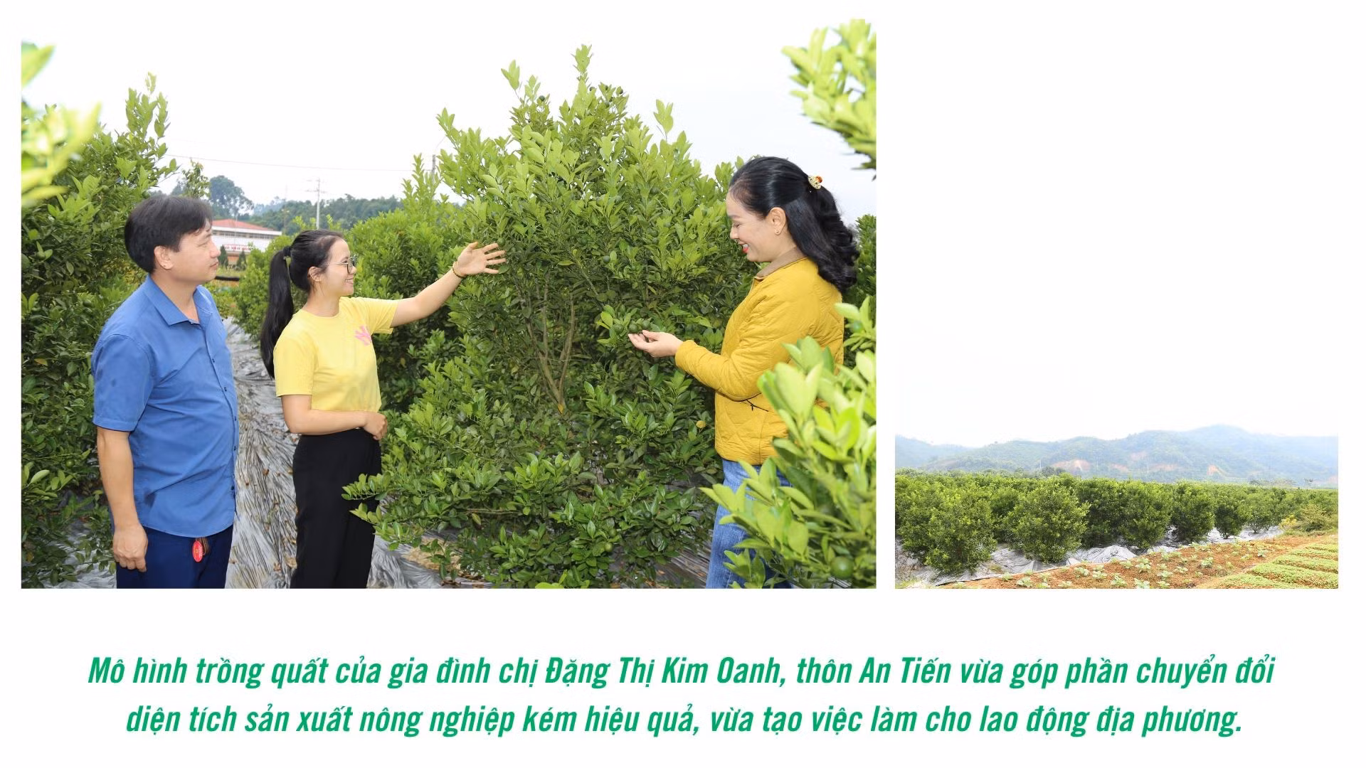dan-van-kheo-4186.jpg