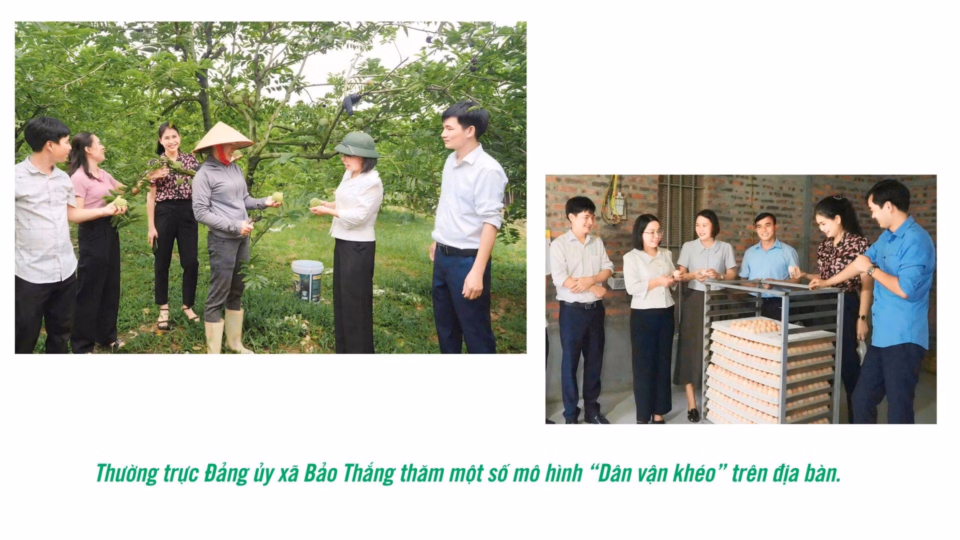dan-van-kheo-2.jpg