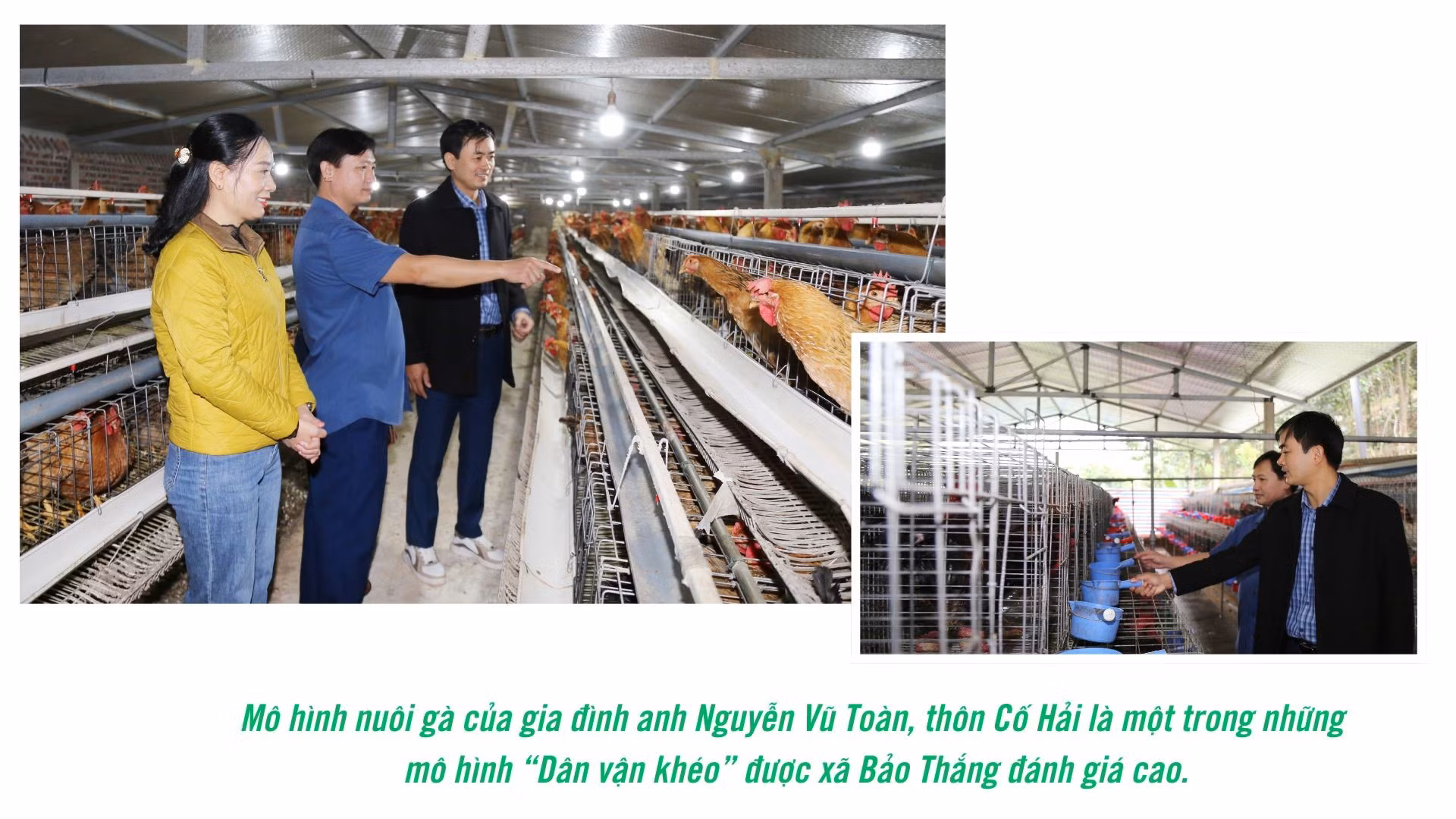 dan-van-kheo.jpg
