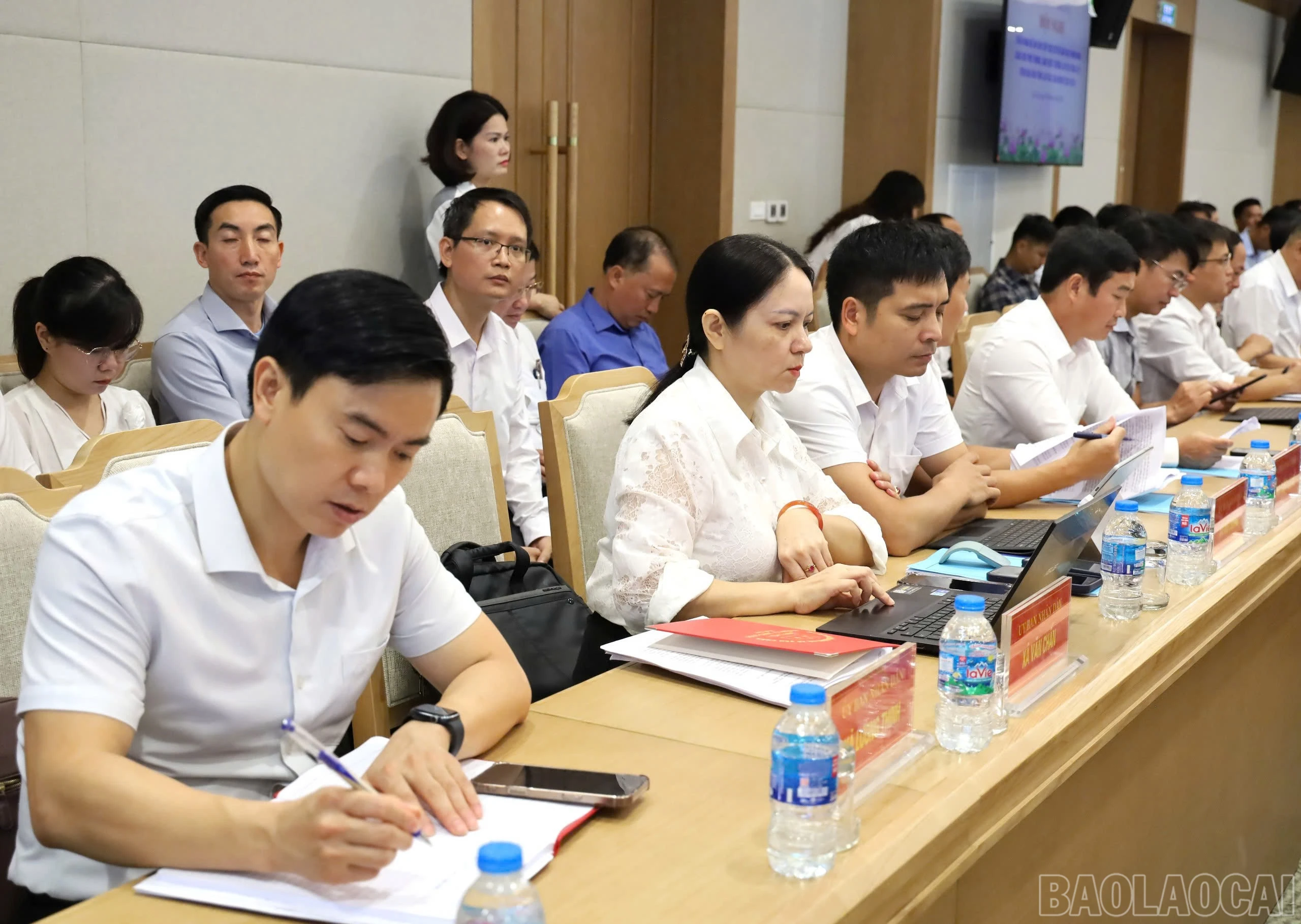 baolaocai-br_1787109269115-4293963952392529429-4293963952392529429-3e0dd5508a572f830f379b005c0b832d.jpg