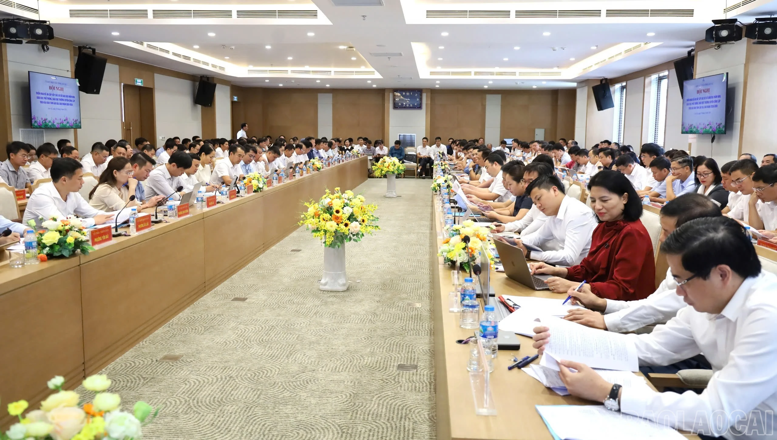 baolaocai-br_1787109280676-4293963952392529429-4293963952392529429-c36378e5533203a3ee26a790ad896a15.jpg