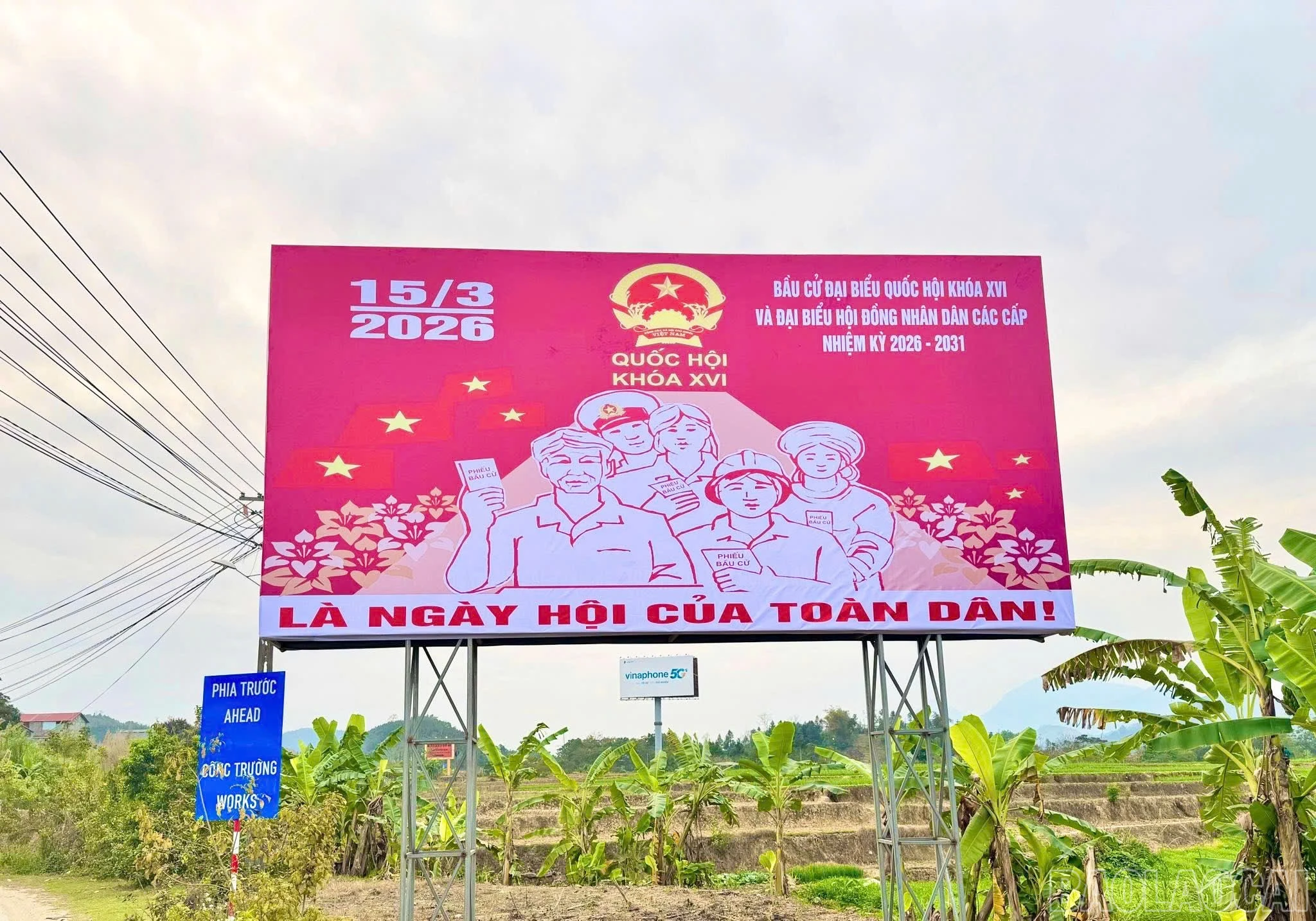 baolaocai-br_646044642-2488000798367727-8732886474697262990-n.jpg