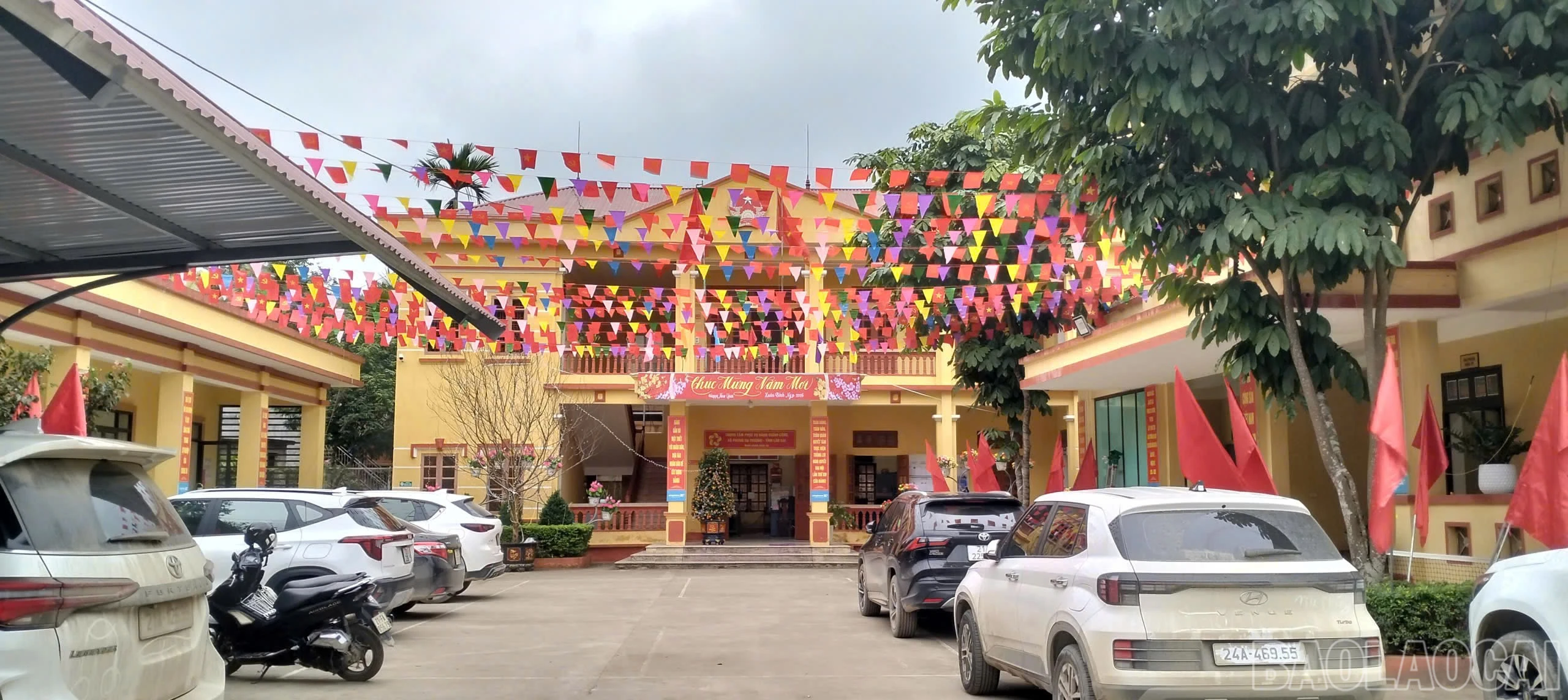 baolaocai-br_co-hoa-ruc-ro-huong-toi-ngay-bau-cu.jpg