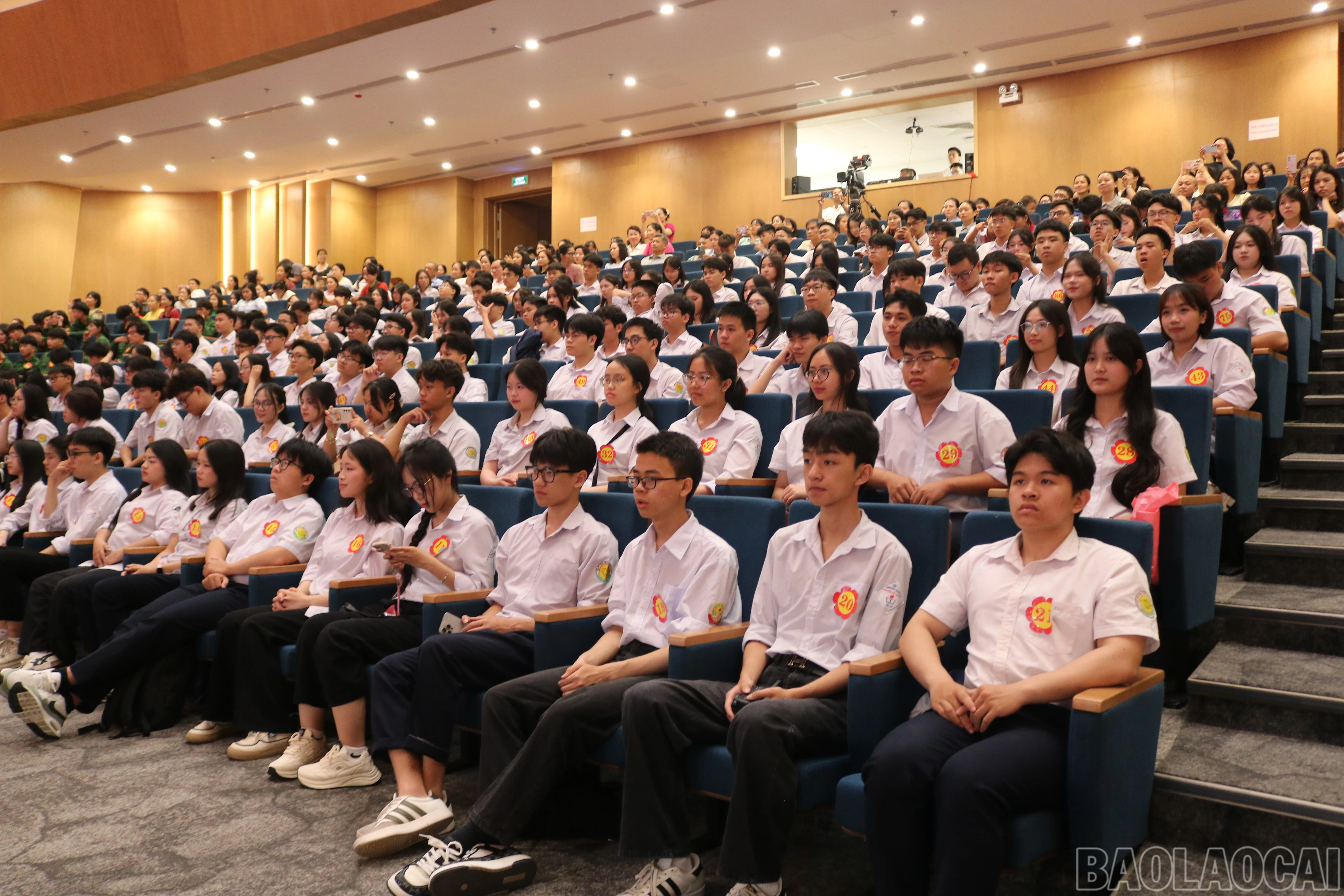 baolaocai-br_img-5338.jpg