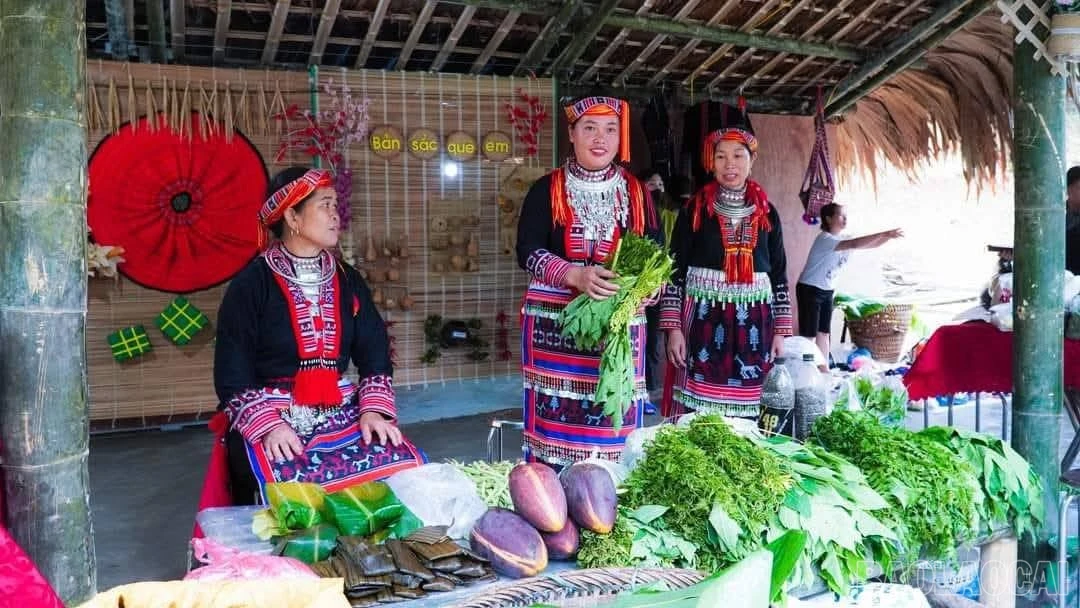 baolaocai-br_kham-pha-thac-khe-rong-du-khac-con-duoc-thuong-thuc-cac-mon-an-tu-rau-rung.jpg