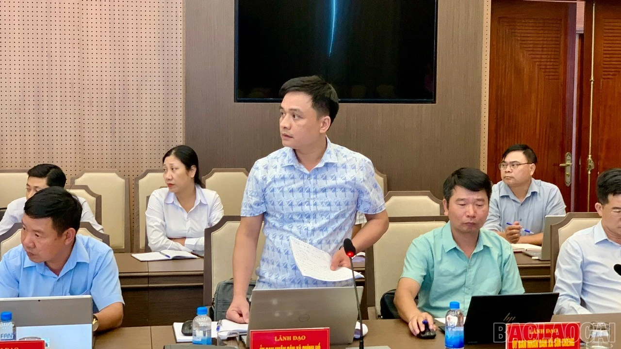 baolaocai-br_z7896189848159-b91aee23955749764acf7ee577a3ebfc.jpg