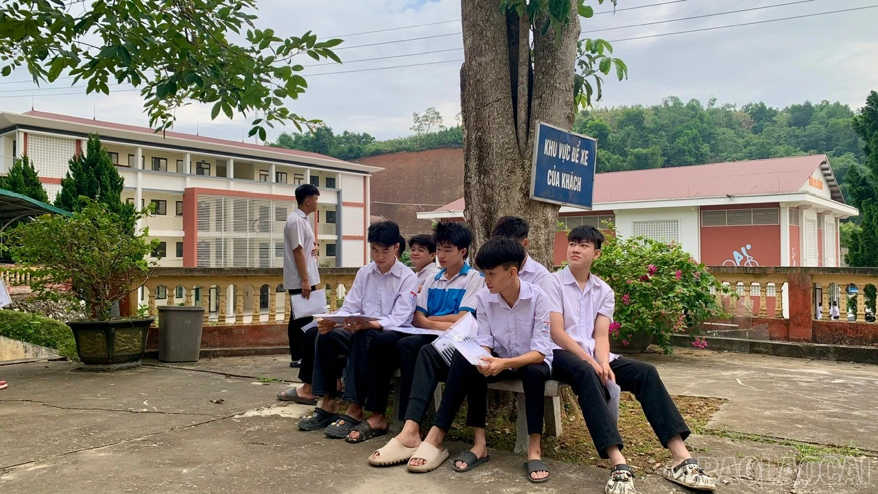 baolaocai-br_z7923009658759-38ff46b2bcb5b9e8583f7988f3e062d9.jpg