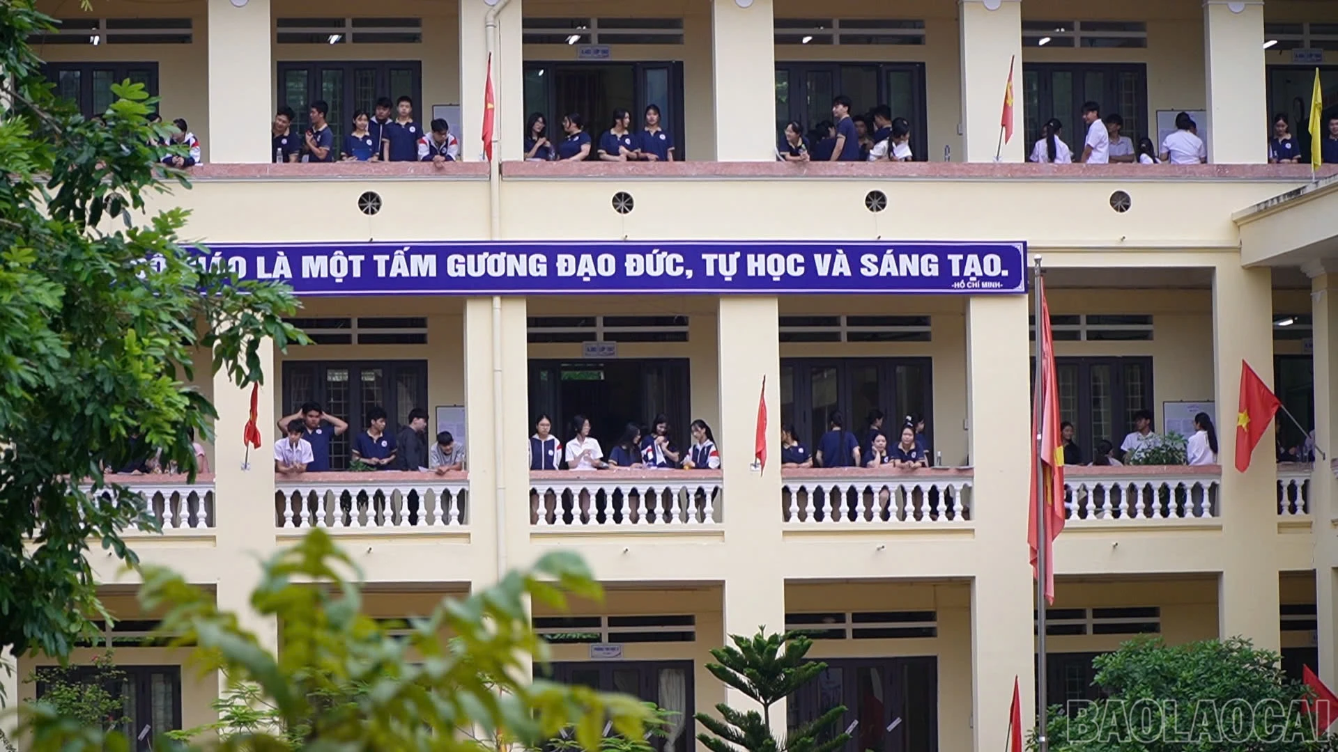 baolaocai-br_z7923104189044-fc891081018fe8c87ad0792a20d80b74.jpg
