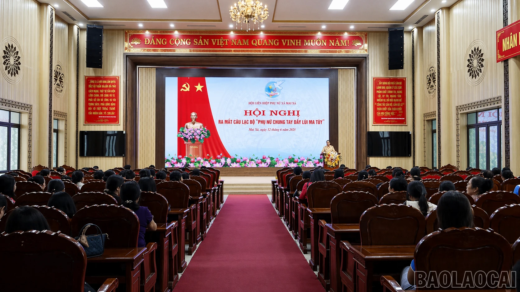 baolaocai-br_8095e71d-7d2f-4473-8ae0-e2cfda299aac.png