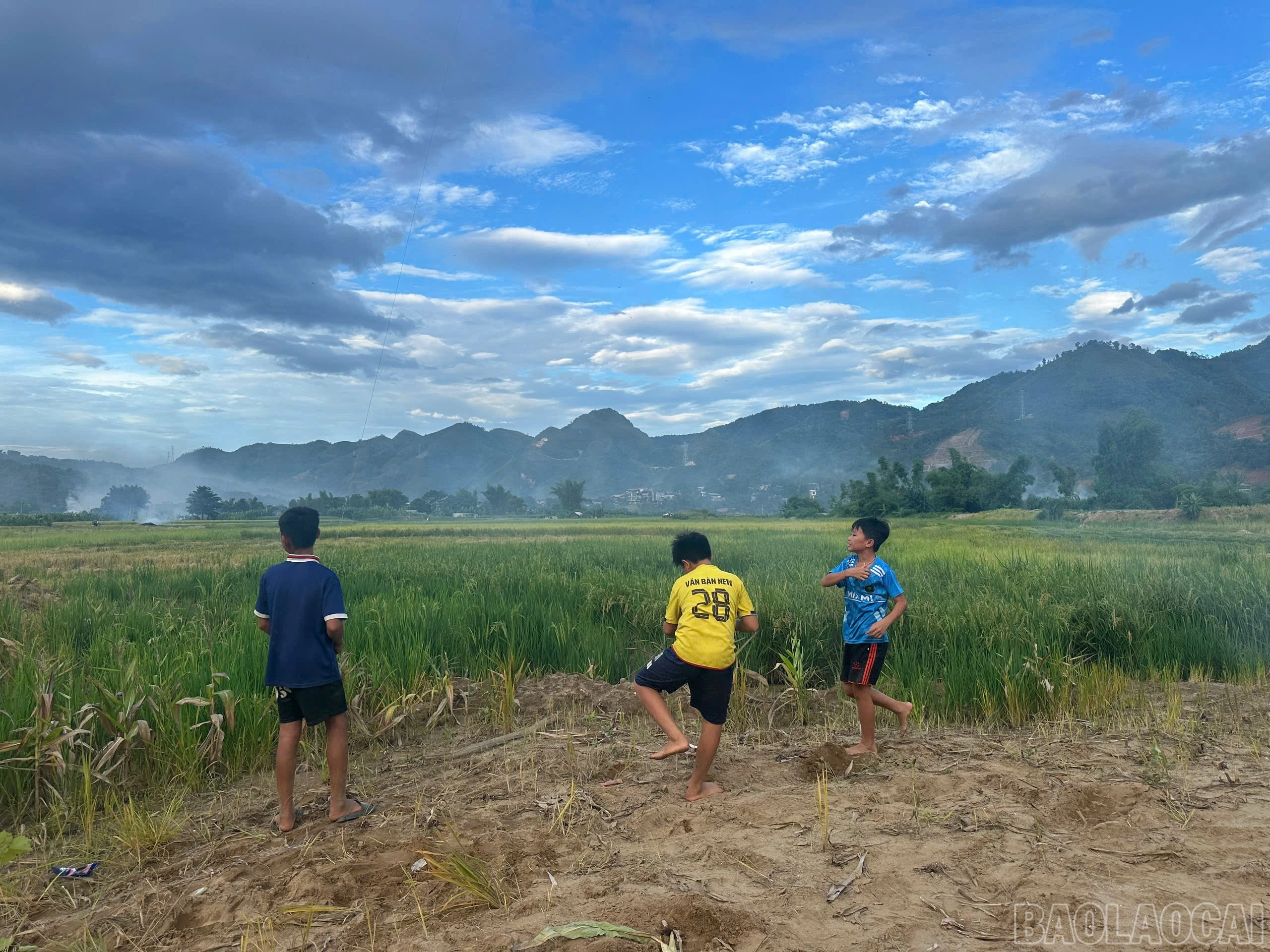 baolaocai-br_z7932687015780-ac68becbfe7b8c3528f3739a349a76bc.jpg