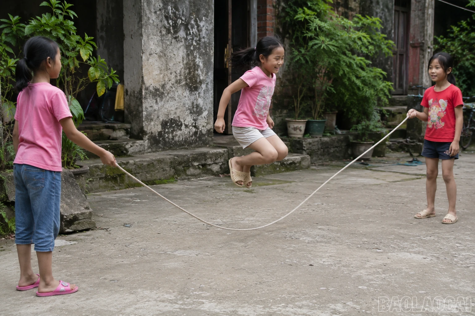 baolaocai-br_8347d20a-8965-462a-8a6b-1bb6873f0eb1.png