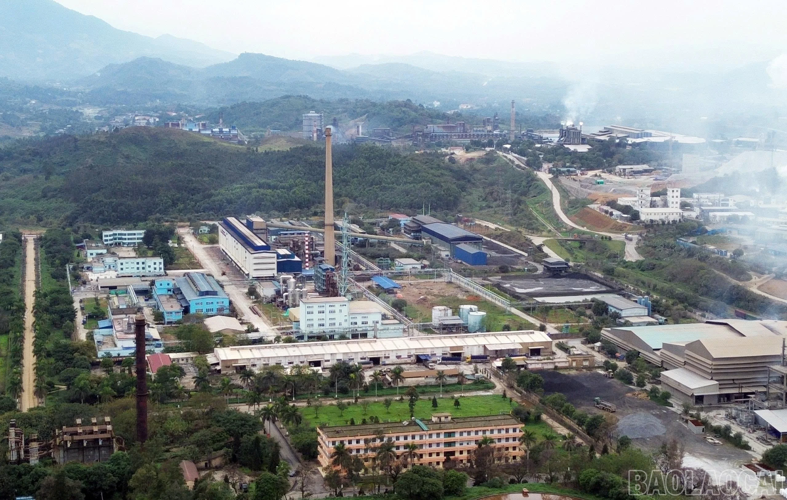baolaocai-br_z7472231980999-c20fe6a1a0bdce764aa576557c84d00b.jpg