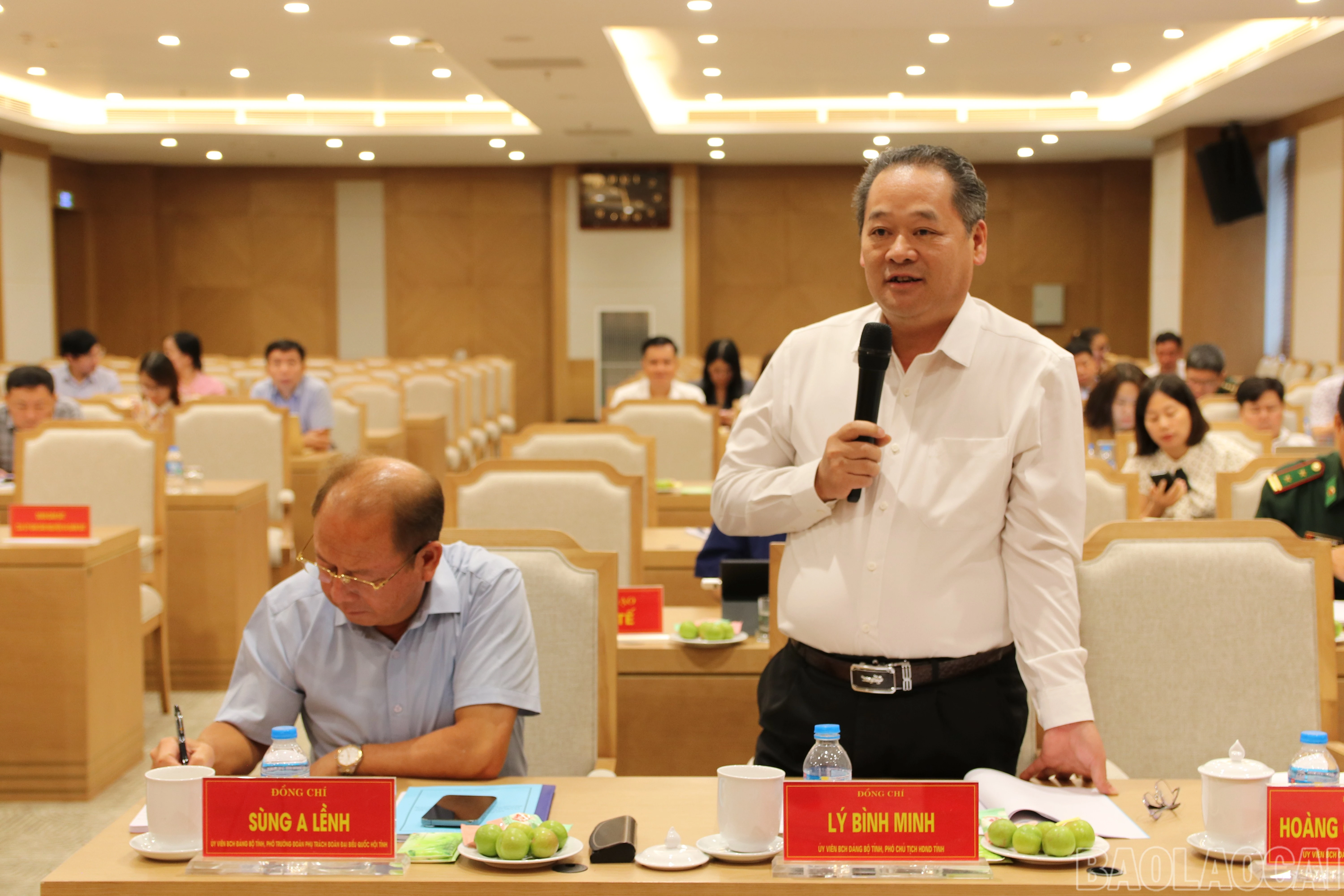 baolaocai-br_img-8394.jpg