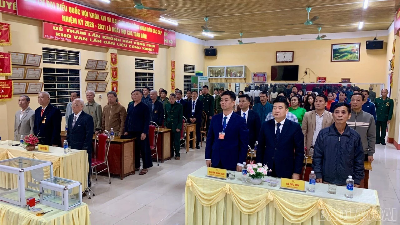 baolaocai-br_z7621438567719-4452154dc20842d681427d1f6a628a27.jpg