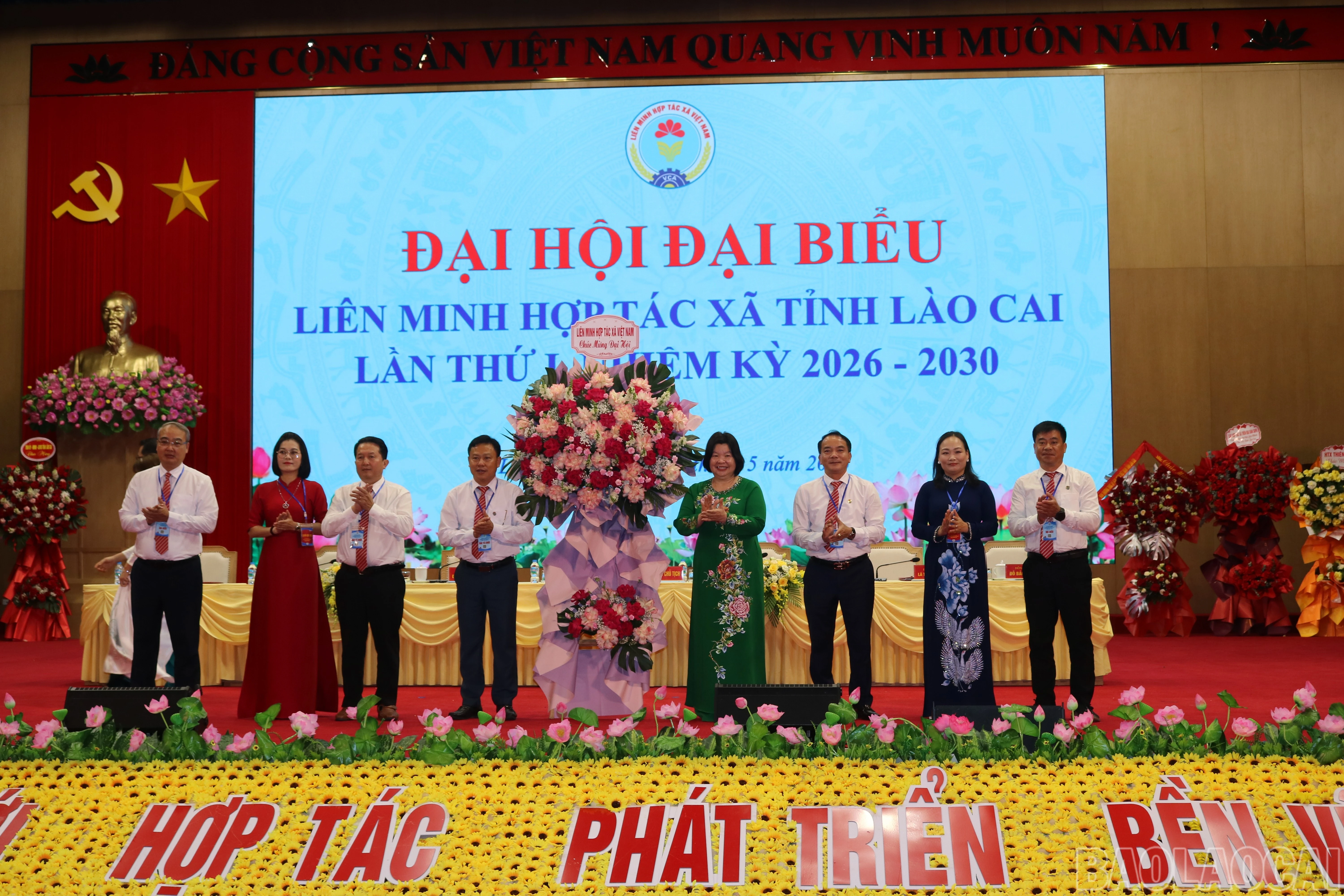 baolaocai-br_img-5554.jpg
