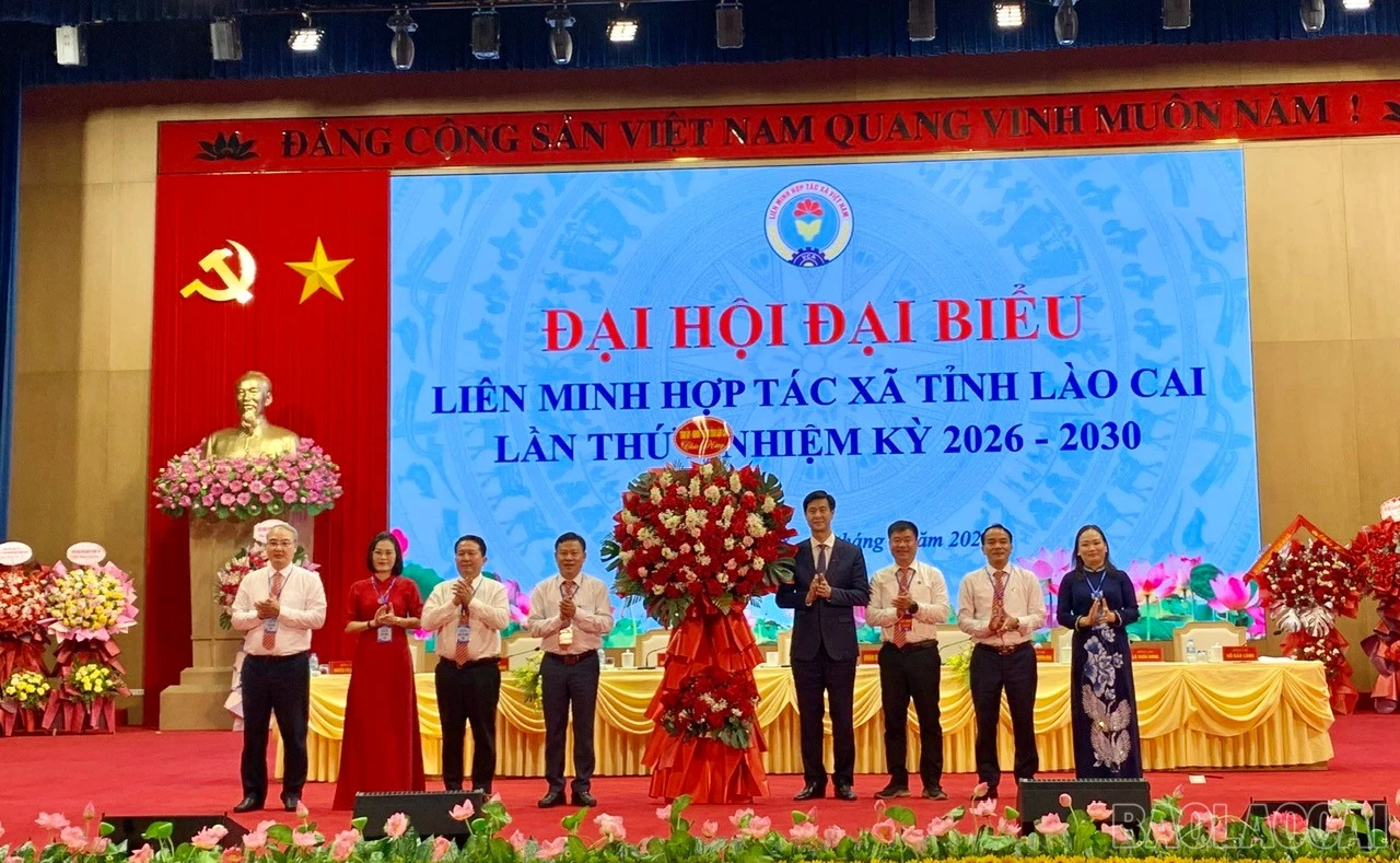 baolaocai-br_z7877756190131-fd55f323cfc3237e843d2034c1b7005d.jpg