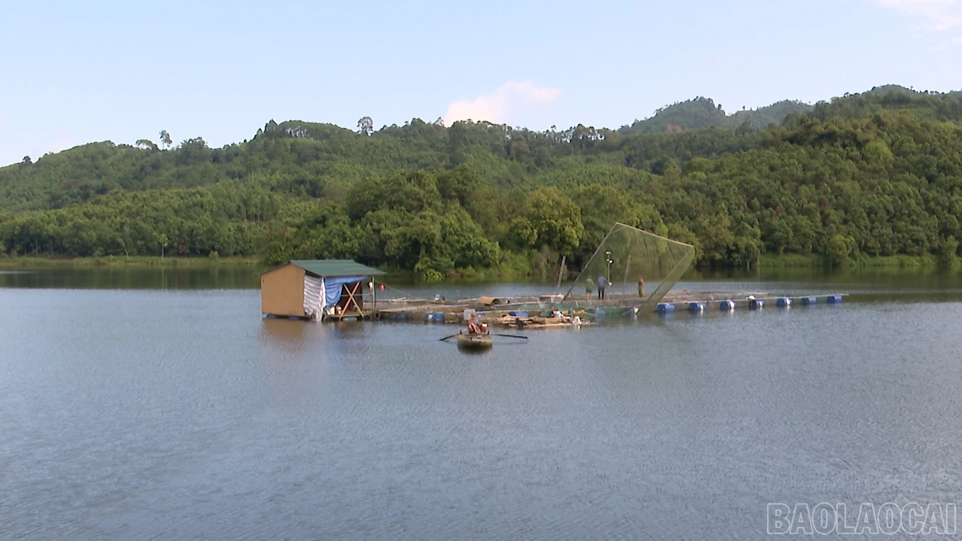 baolaocai-br_quang-canh-long-nuoi-tai-to-dan-pho-dam-hong.jpg